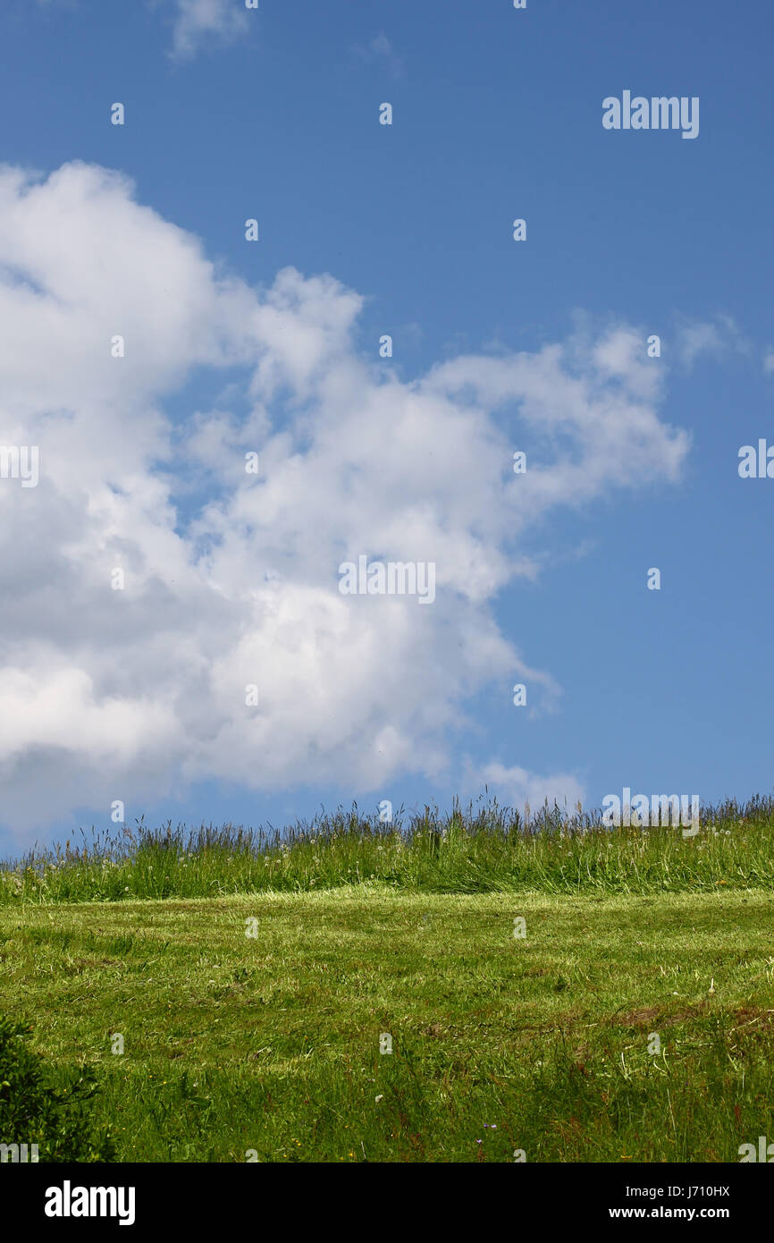 agriculture farming field width far meadow firmament sky lawn green clouds Stock Photo