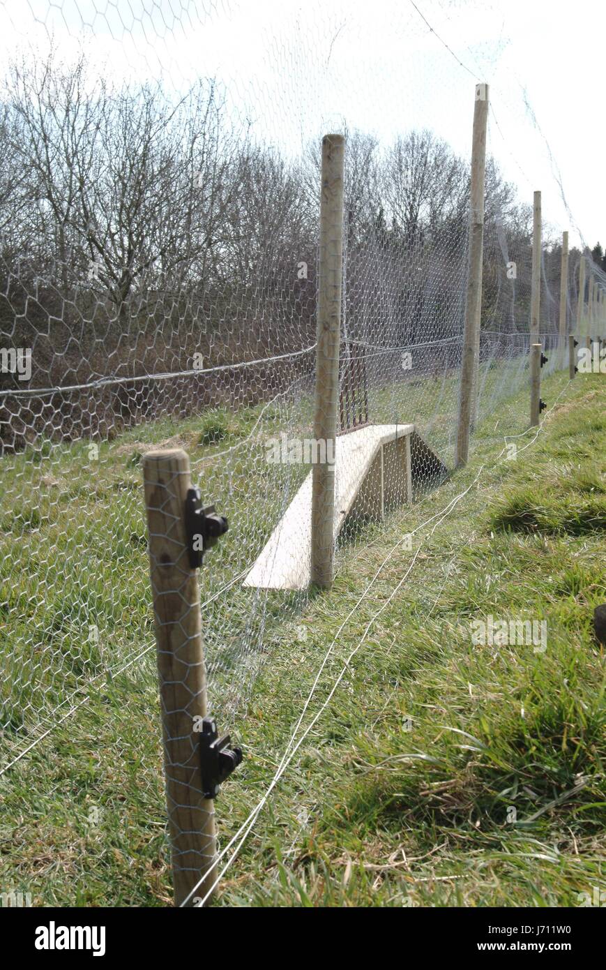 fox ramp funnel pheasant proof evidence anti keeper building fencing ...