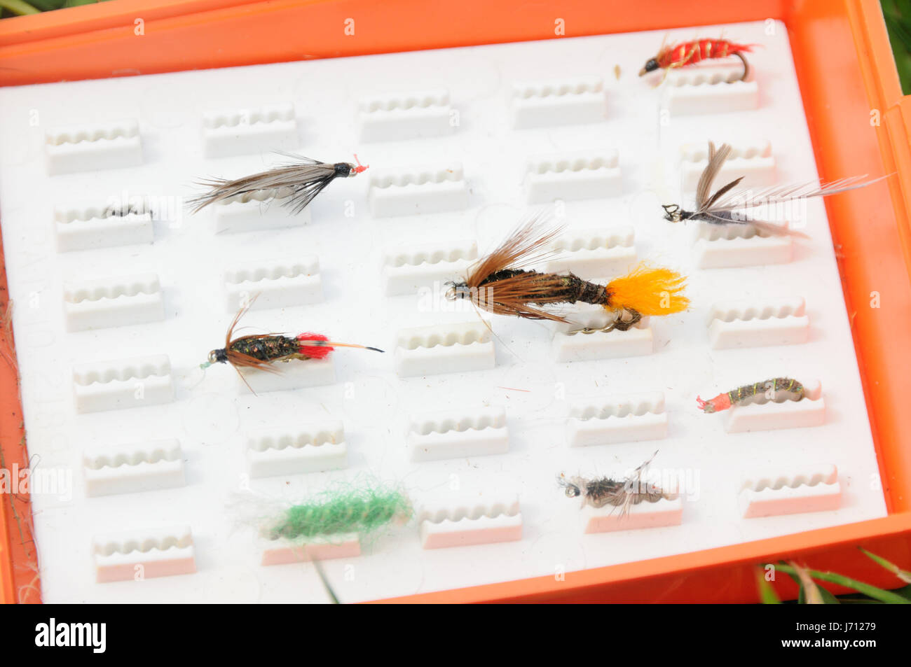 1,455 Trout Flies Stock Photos, High-Res Pictures, and Images