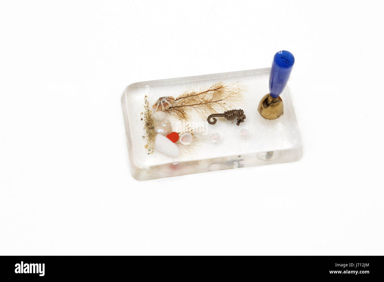 Pen Holder with Sea Horse and Shells inside Stock Photo