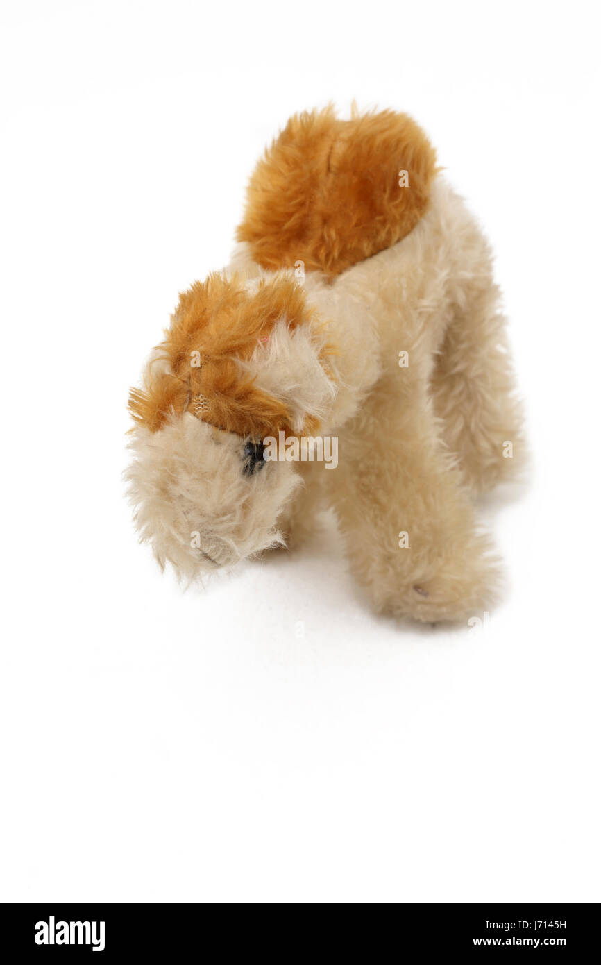 Soft Toy Camel from Dubai Stock Photo Alamy