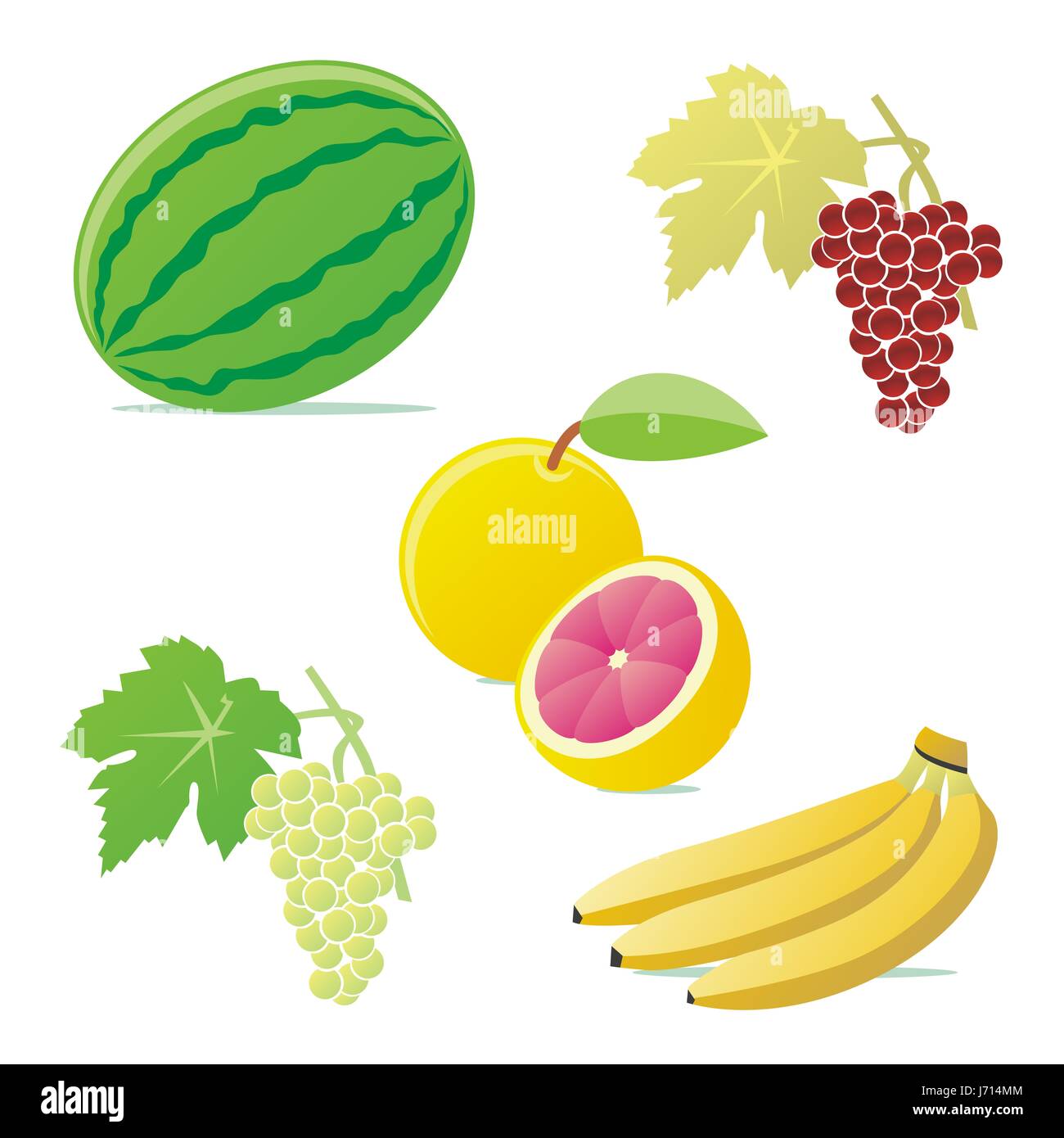 grapes illustration fruit banana grapefruit watermelon bunches of ...