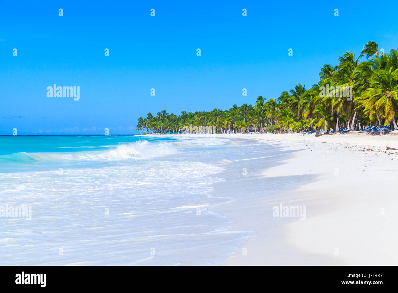 Coconut palms grow on white sandy beach. Caribbean Sea, Dominican republic, Saona island coast, popular touristic resort, natural photo Stock Photo