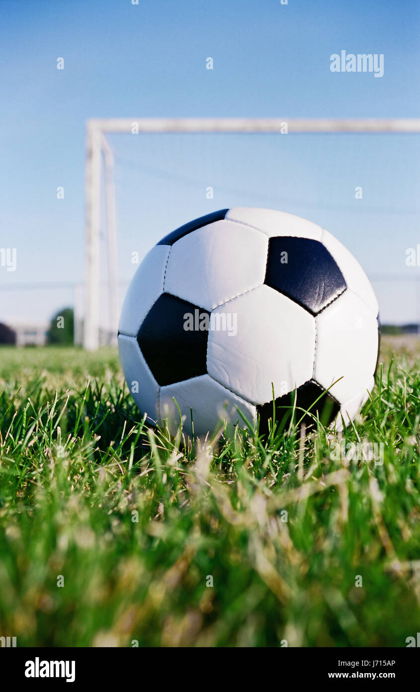 ball field goal passage gate archgway gantry net aim netting sport