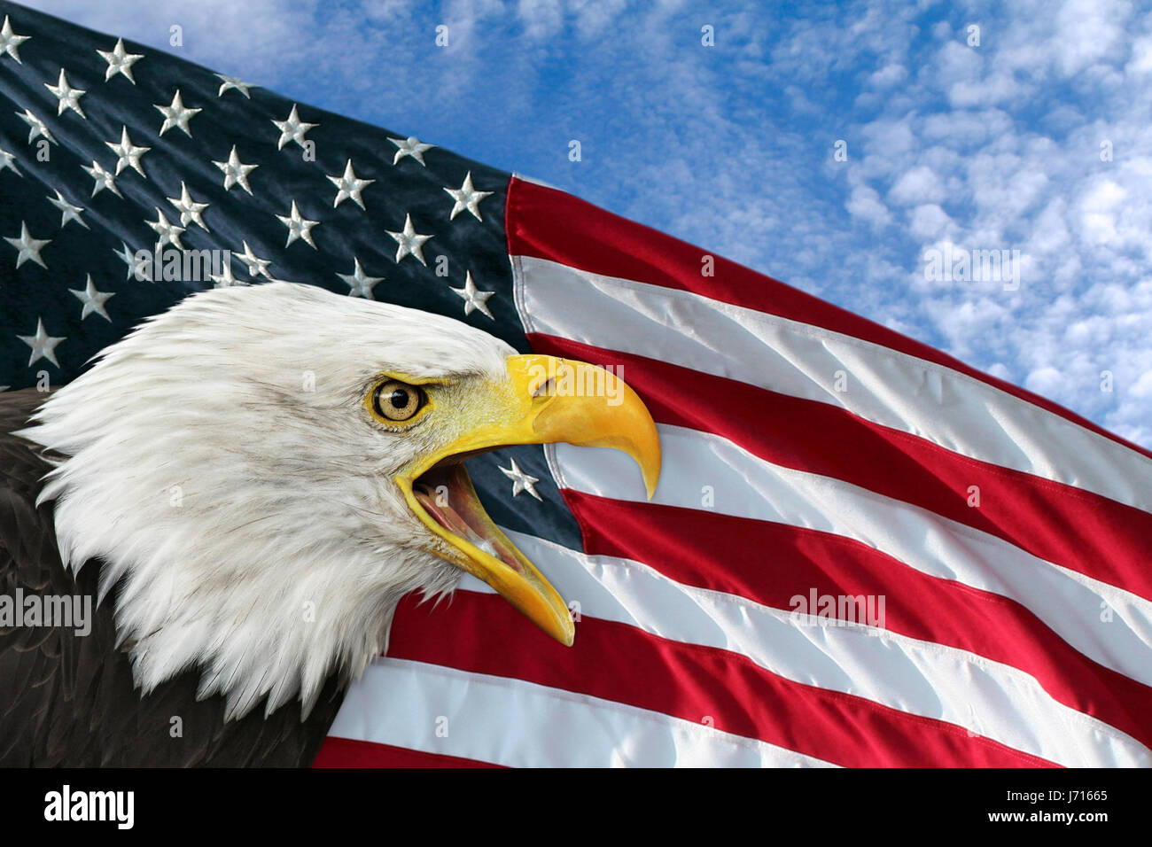 usa america flag eagle star spangled banner outcry bald eagles cry shine shines Stock Photo