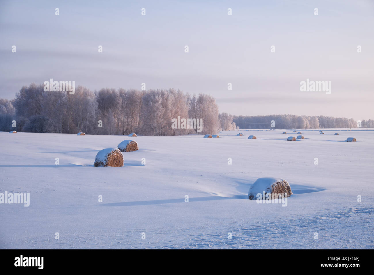 Siberian rural winter landscape with a stack of hay in the field ...