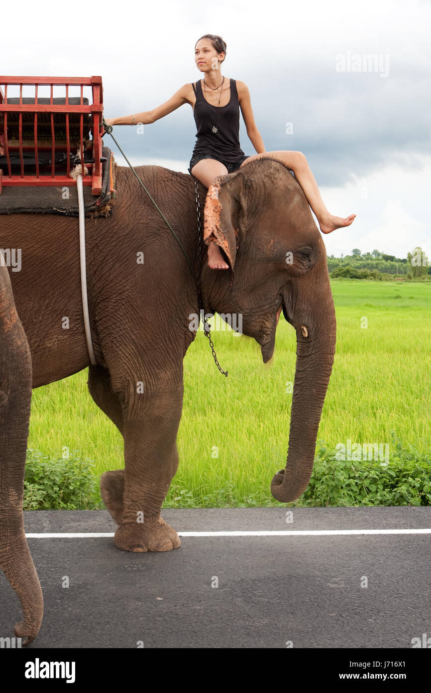 Girl riding an elephant hires stock photography and images Alamy
