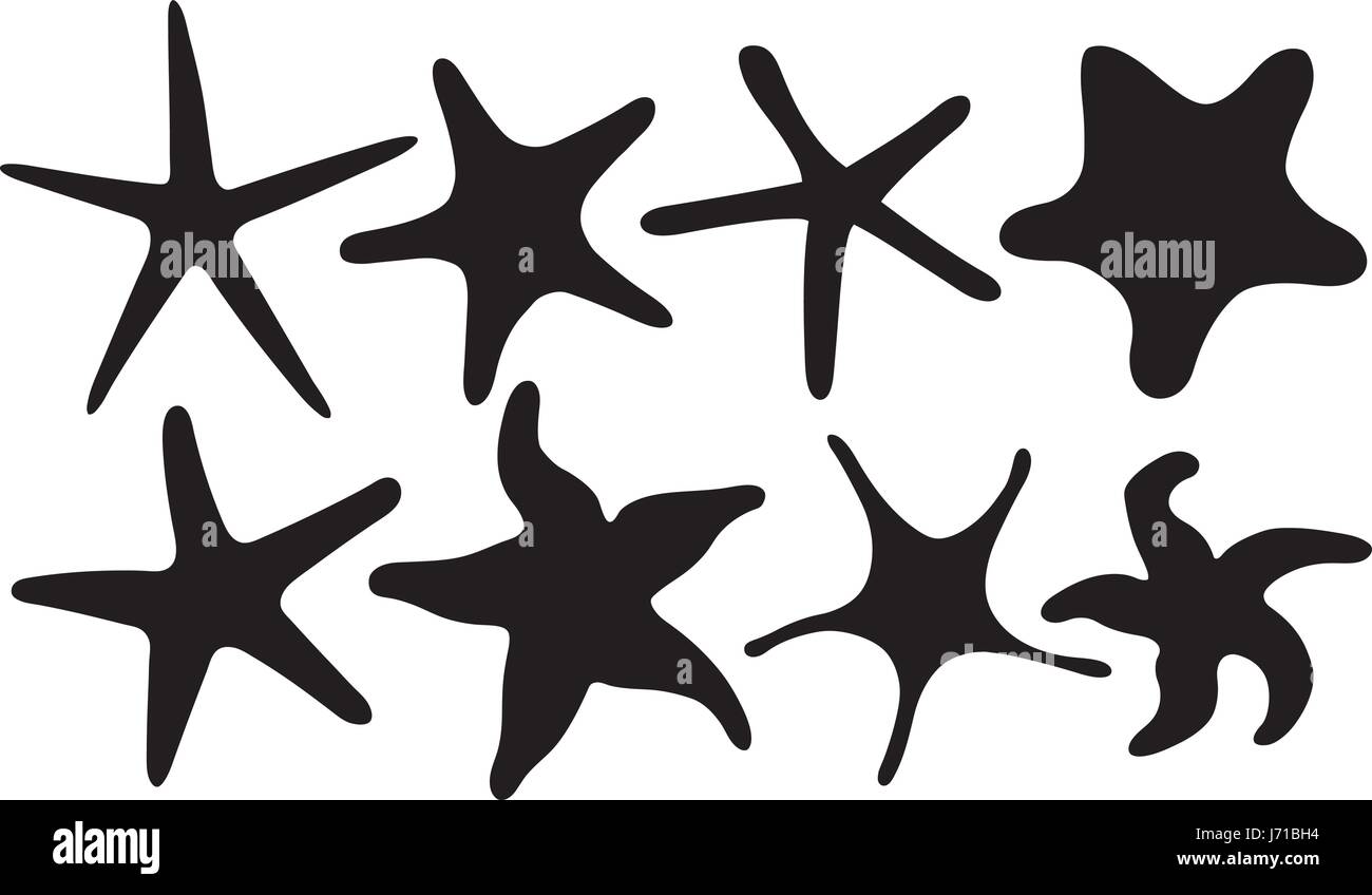 Set of different starfish isolated on white Stock Vector Image & Art ...
