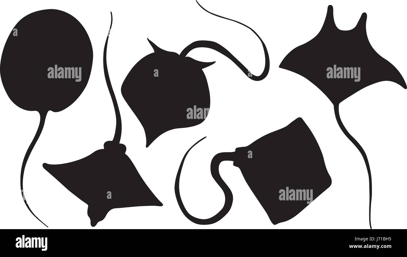 Set of different stingray silhouettes isolated on white Stock Vector