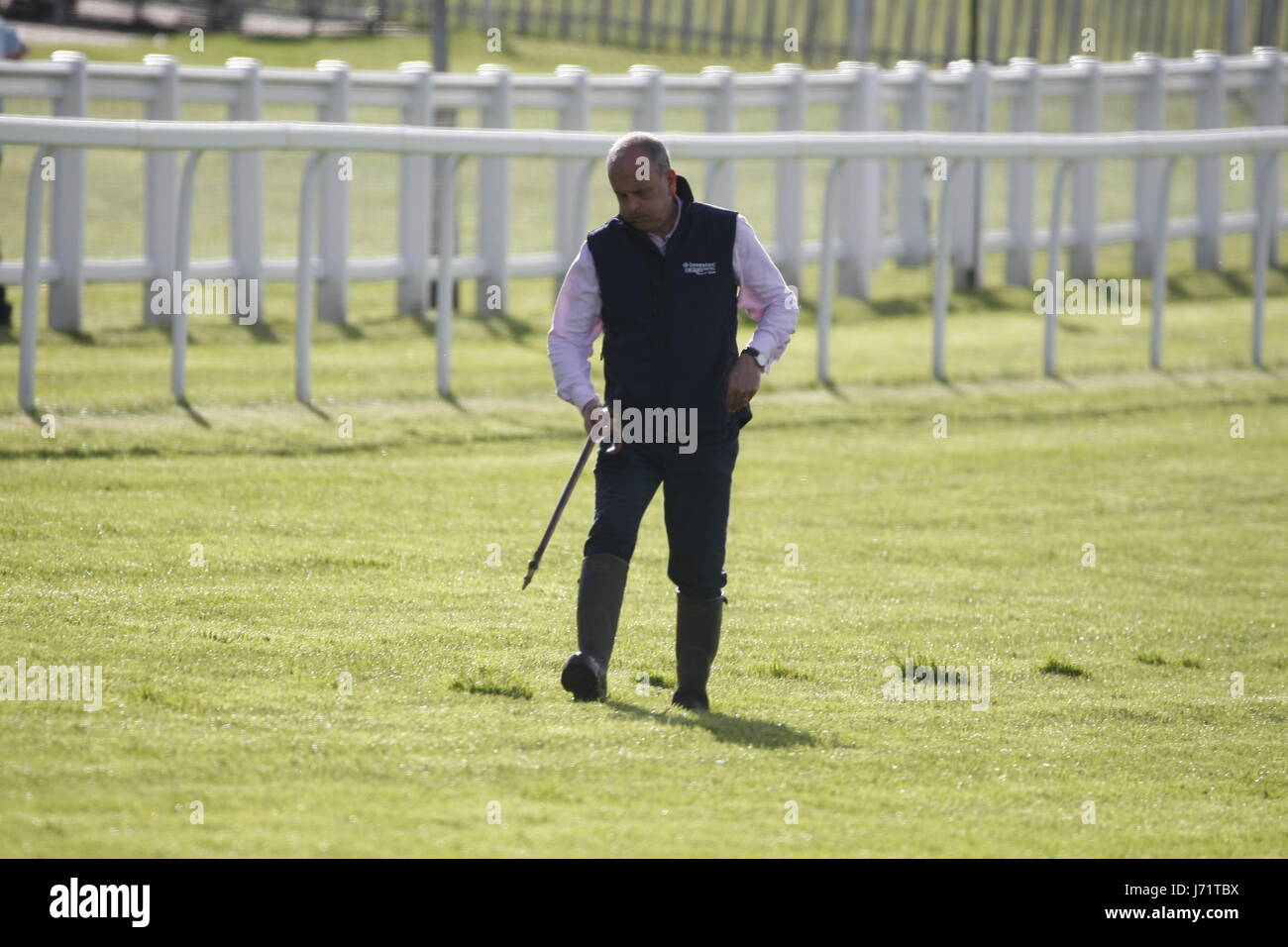 Epsom, Surrey, UK  23rd  May, 2017 Andrew Cooper, clerk of the Course replaces divots  at the iconic Breakfast with the Stars preview of the world famous Classic Derby horse race on the Downs above the town . Credit: Motofoto/Alamy Live News Stock Photo
