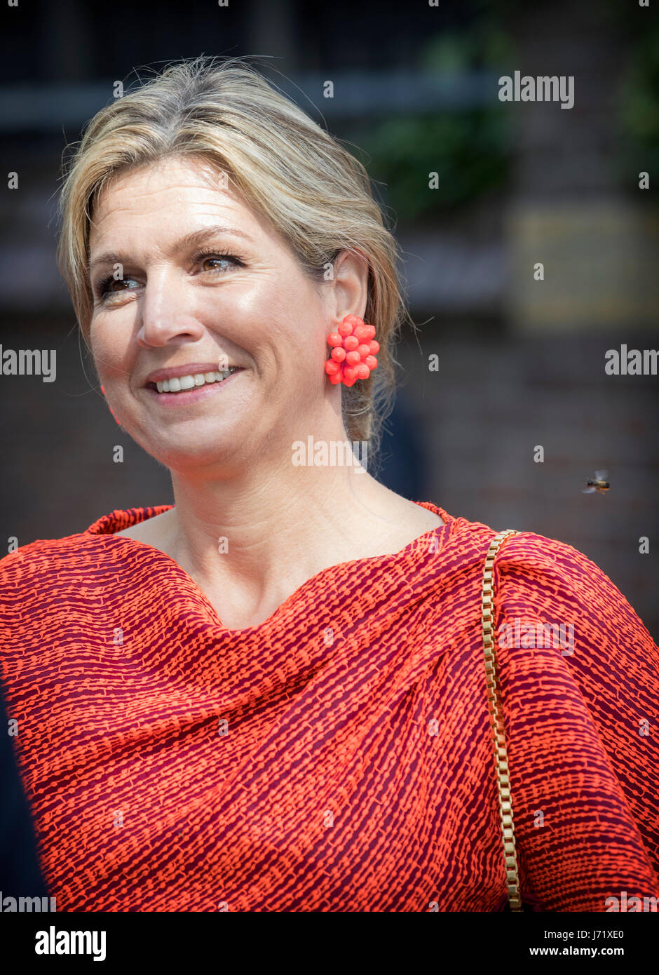 Amsterdam The Netherlands 23rd May 2017 Bug Follows Queen Maxima - bug follows queen maxima of the netherlands after the launch of the employers website at the annua!   l symposium of platform wijzer in geldzaken moneywise a