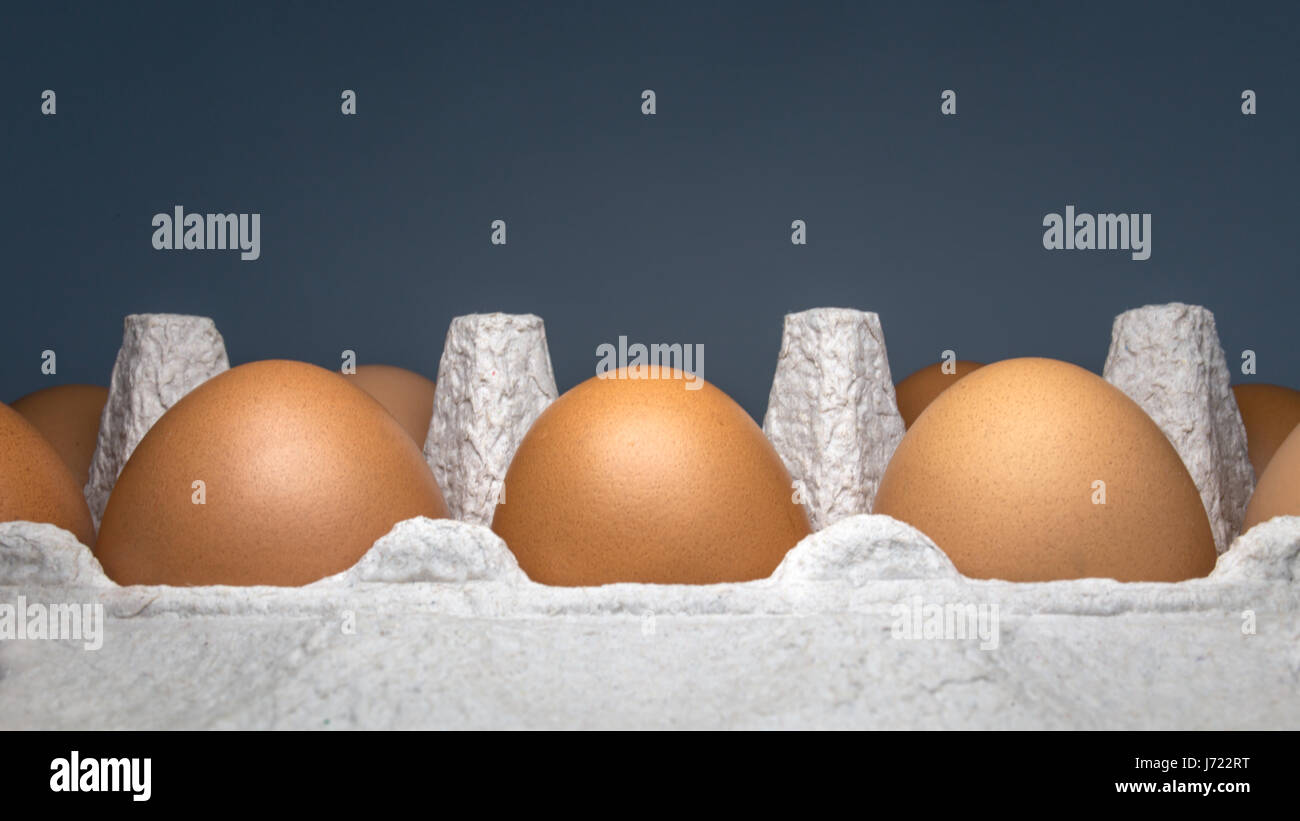 Packing eggs in a cardboard box on the side and close-up on a dark background Stock Photo