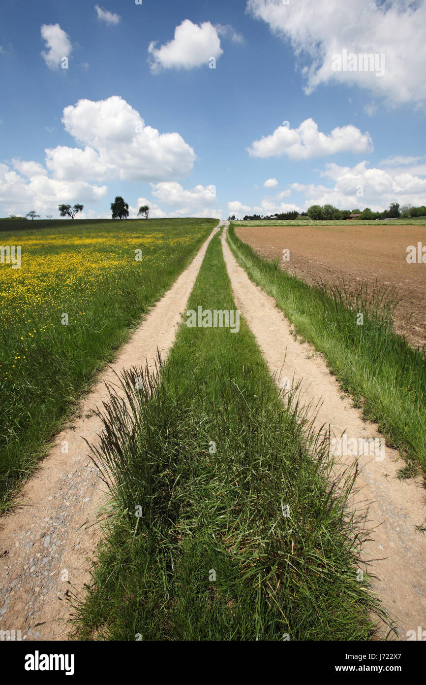 dirt road field spring direction straight ahead path way scenery ...