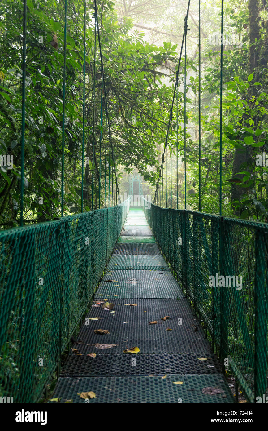 Hanging suspension bridge in Monteverde cloud forest reserve Costa Rica Stock Photo