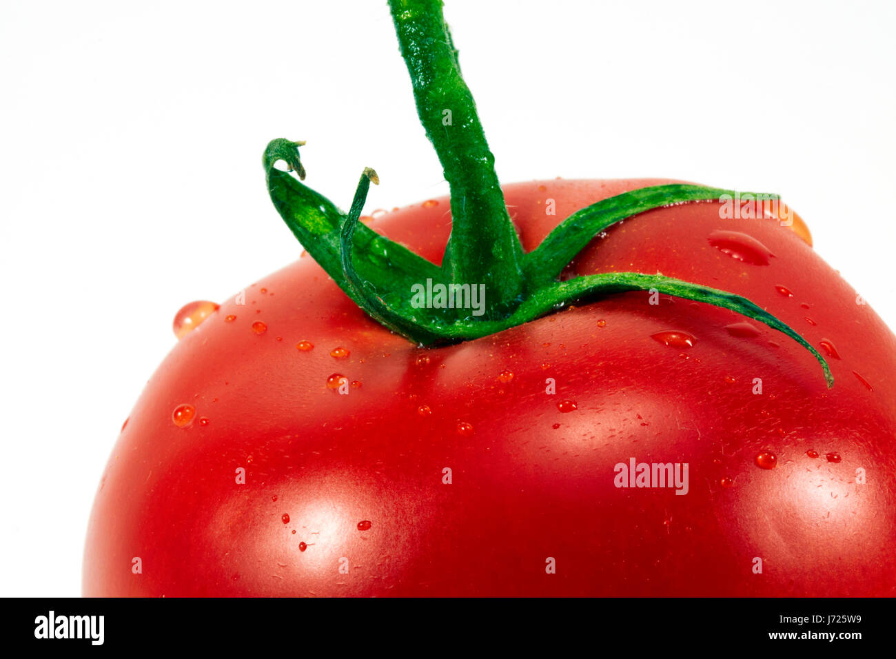 boil cooks boiling cooking tomato eating eat eats red water nature food