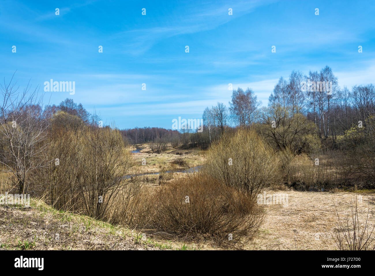 Early spring on a Sunny day in the middle of Russia Stock Photo - Alamy