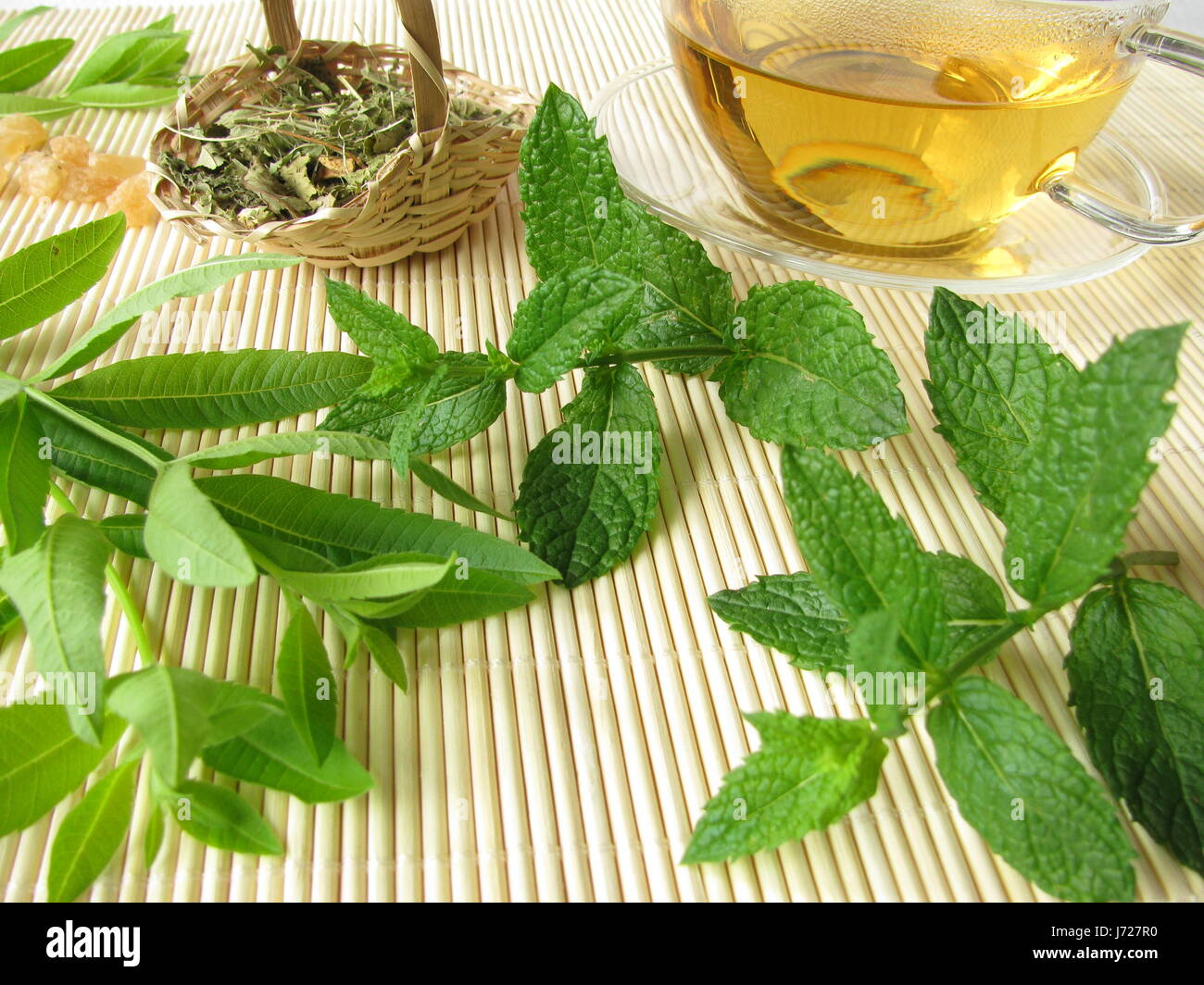 tea mint mild herb culinary herbs herb tea peppermint a taste of lemon