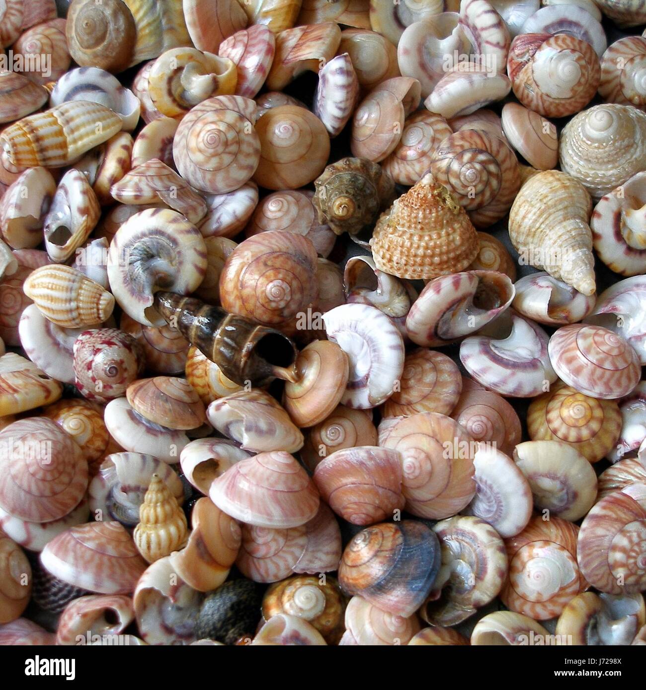Structure Backdrop Background Beach Seaside The Beach Seashore Summer Structure Backdrop Background Beach Seaside The Beach Seashore Summer