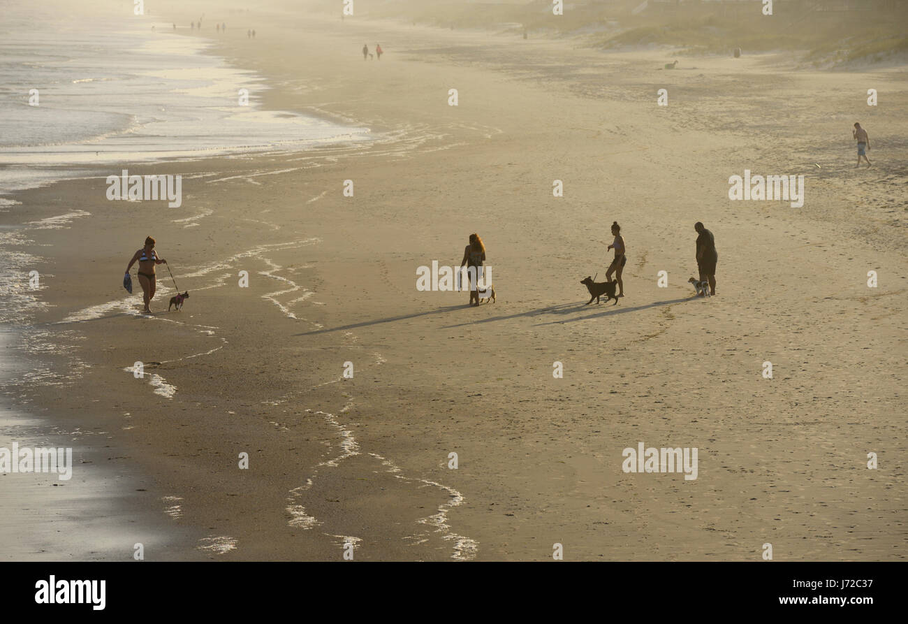Silhouetted people walking dogs on beach at sunset Stock Photo