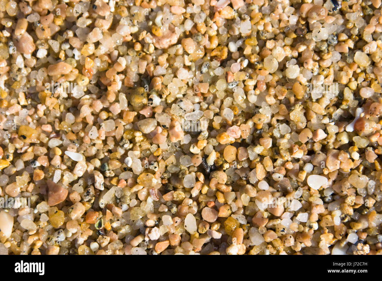 stone rough beach seaside the beach seashore pebbles salt water sea ...