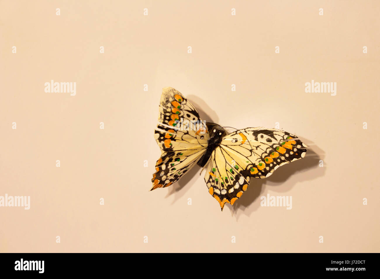 Close up view of isolated magnet (souvenir) shaped of butterfly on beige background. Stock Photo