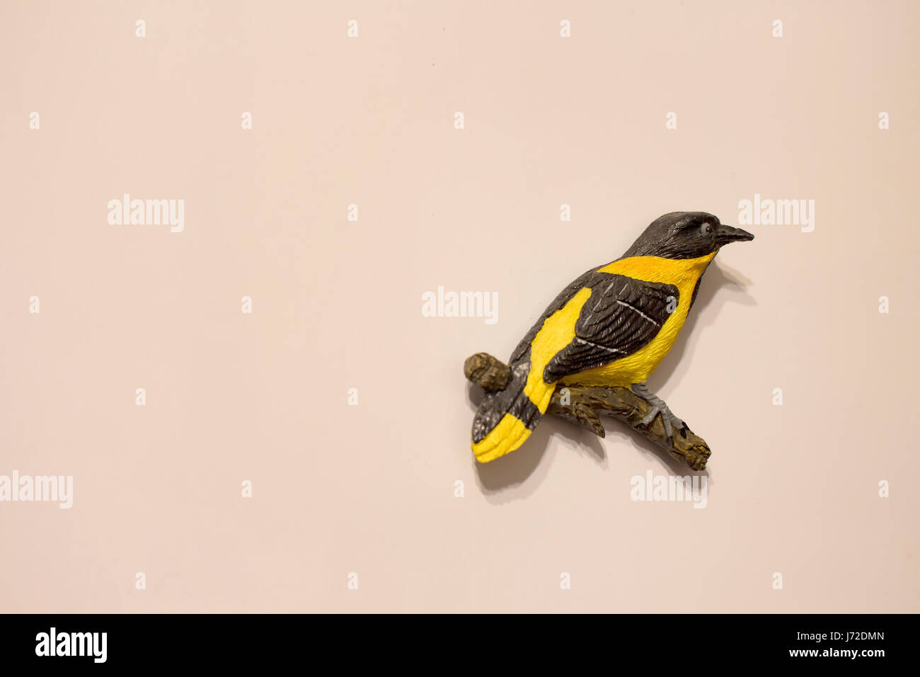 Close up view of isolated magnet (souvenir) shaped of bird on a branch on beige background. Stock Photo