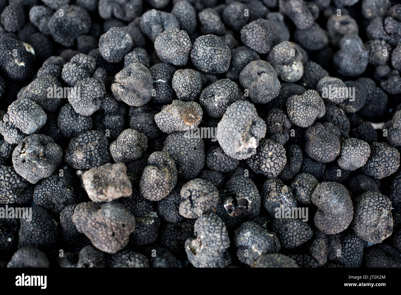 View from the top of many black truffle gourmet mushrooms Stock Photo
