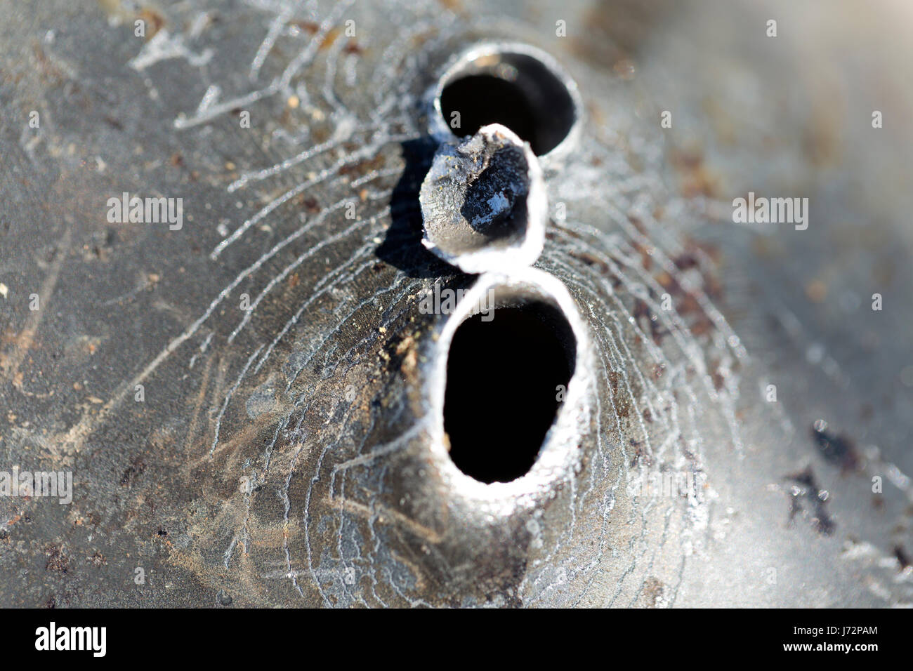 Macro shot of bullet holes after a target shooting in a aluminum pan. Stock Photo