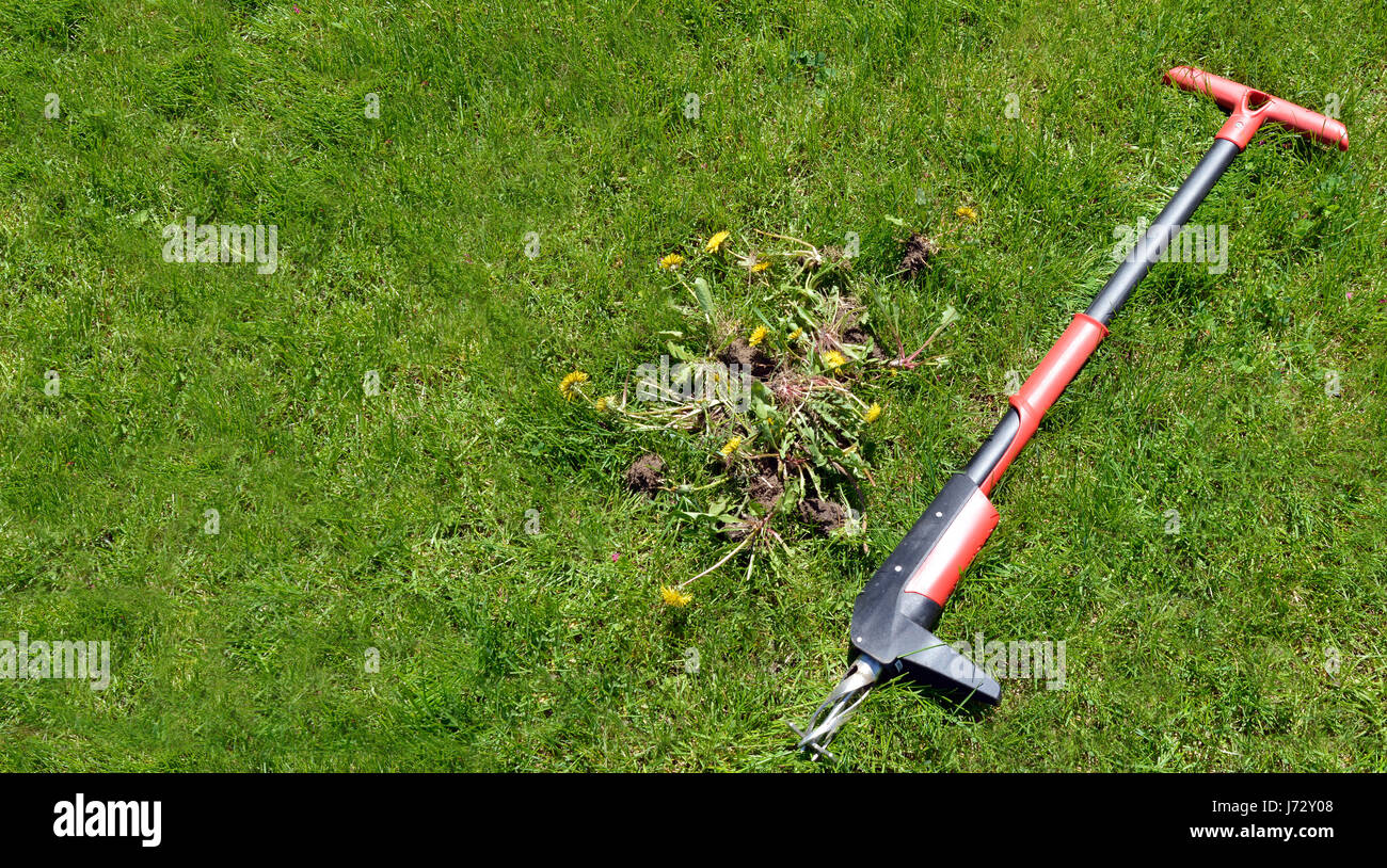 lawn maintenance tools