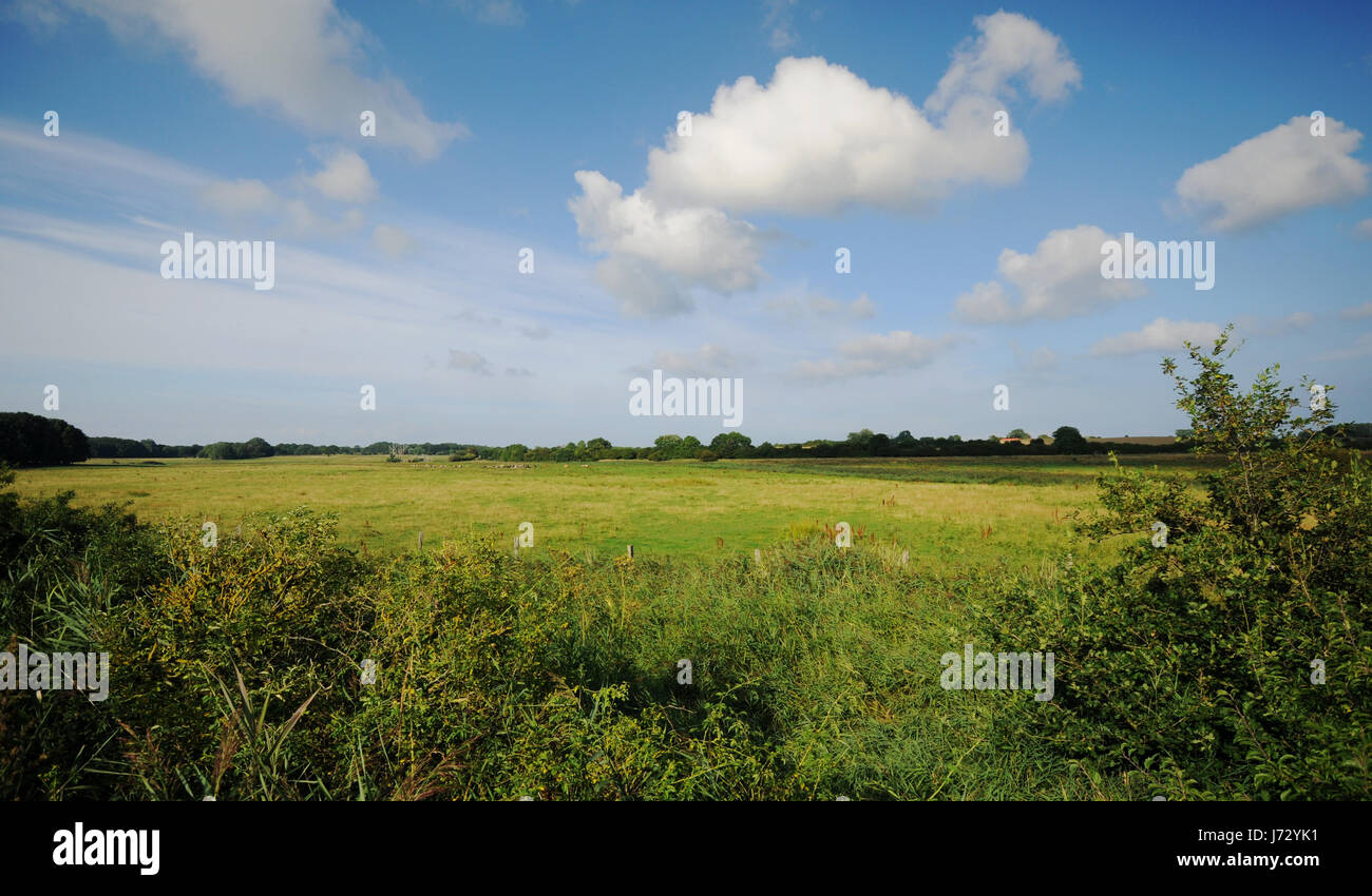 Verwuchert High Resolution Stock Photography and Images - Alamy
