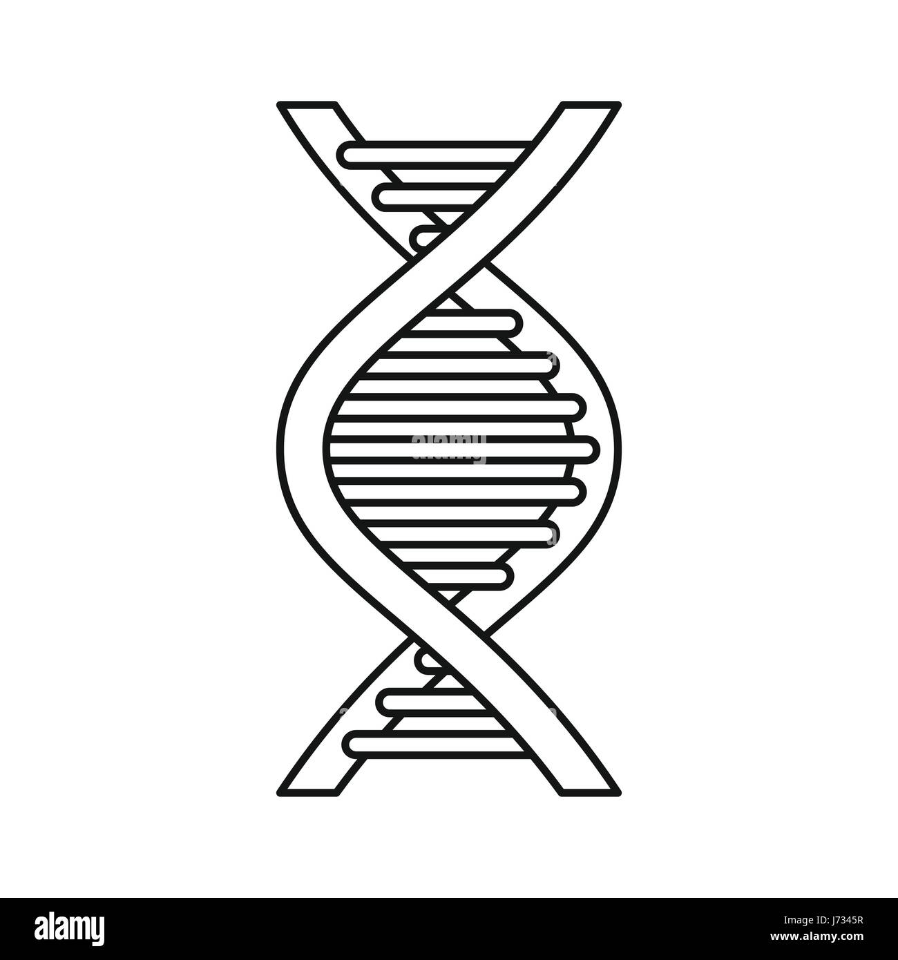 Double helix model isolated Cut Out Stock Images & Pictures - Alamy
