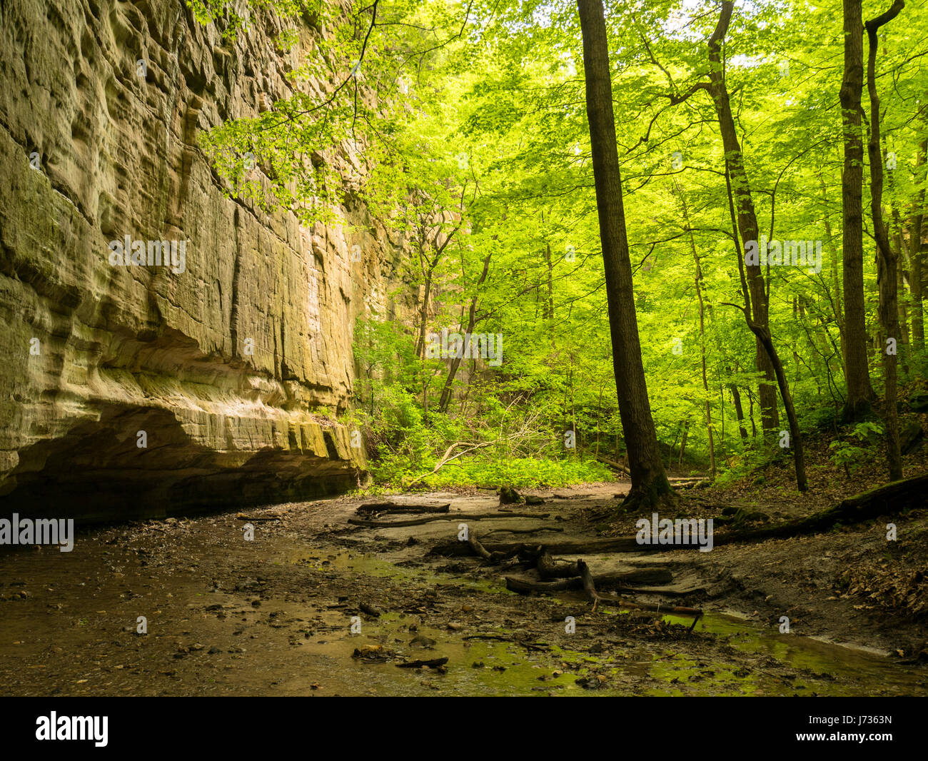 Ottawa Canyon, Starved Rock State Park, Illinois Stock Photo Alamy