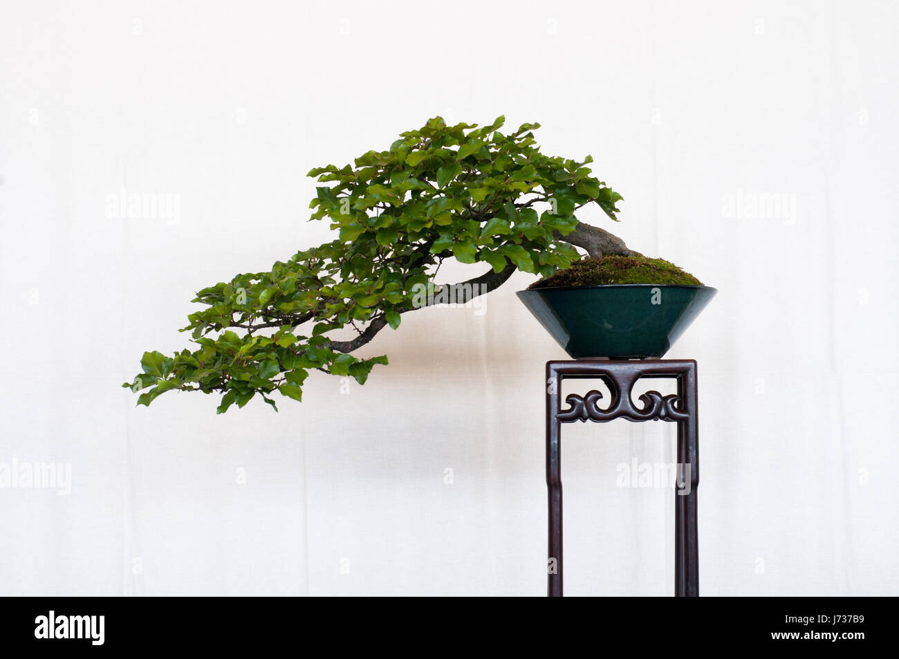 Kaskadenform hi-res stock photography and images - Alamy