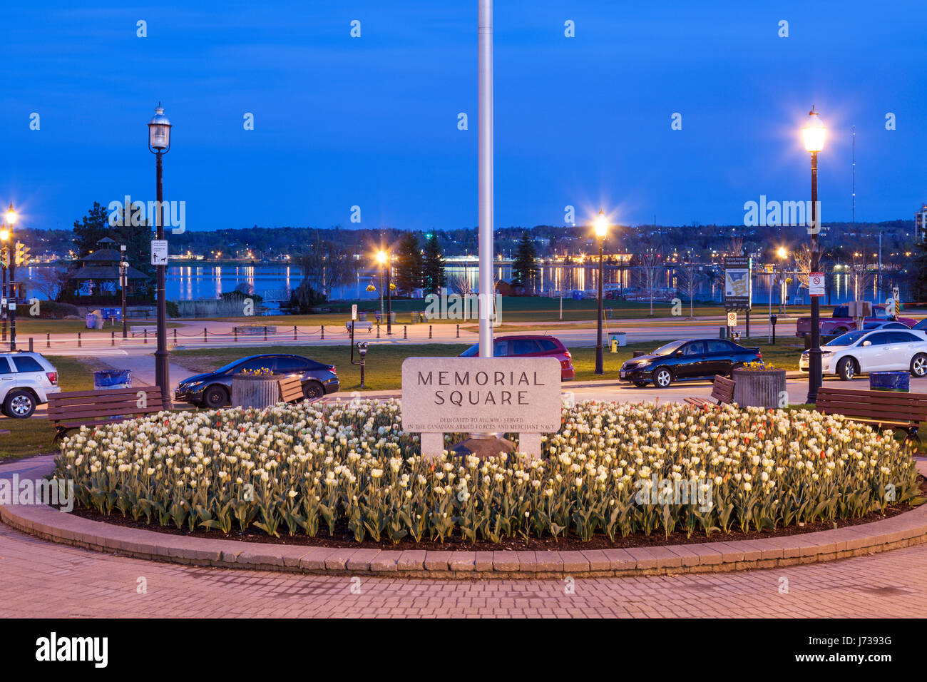 Tulips at Memorial Square in the spring along Dunlop Street East at dusk with Kempenfelt Bay, Lake Simcoe in the background. Barrie Ontario, Canada. Stock Photo
