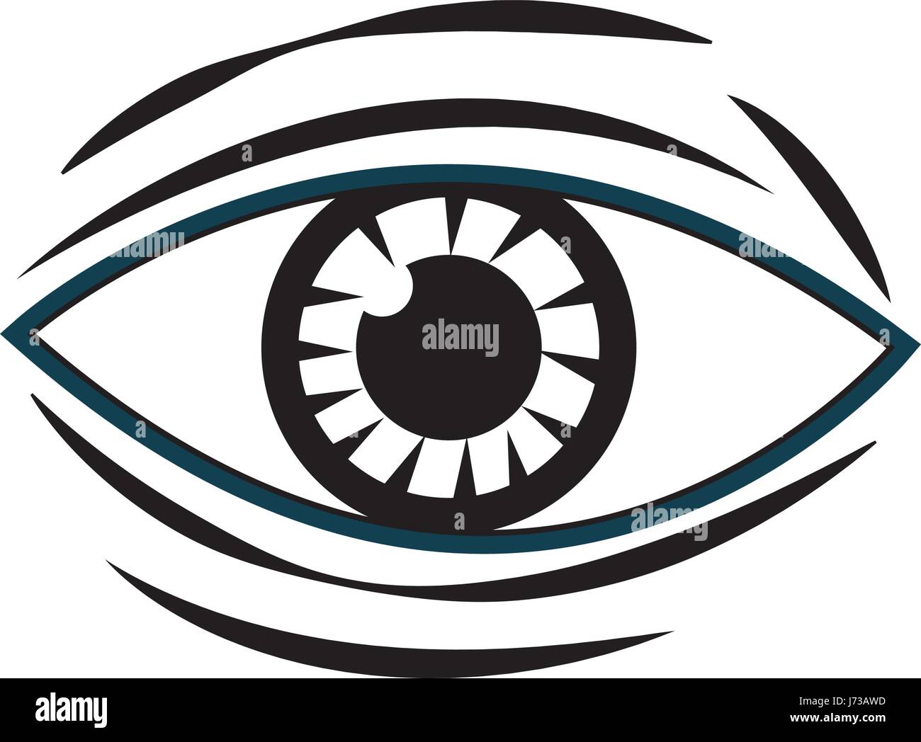 human eye vision optical design image Stock Vector Image & Art Alamy