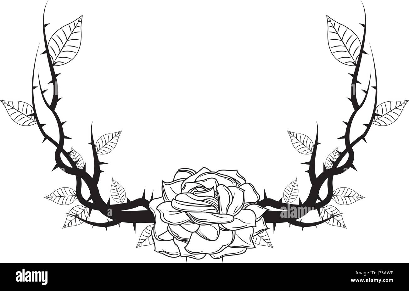 Rose Border With Thorns