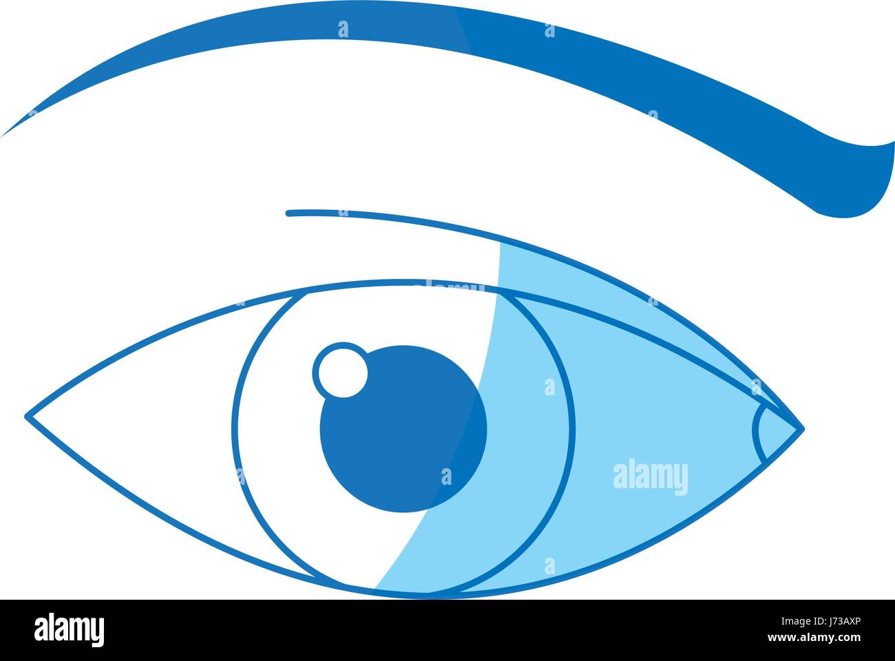 human eye vision optical design image Stock Vector Image & Art Alamy