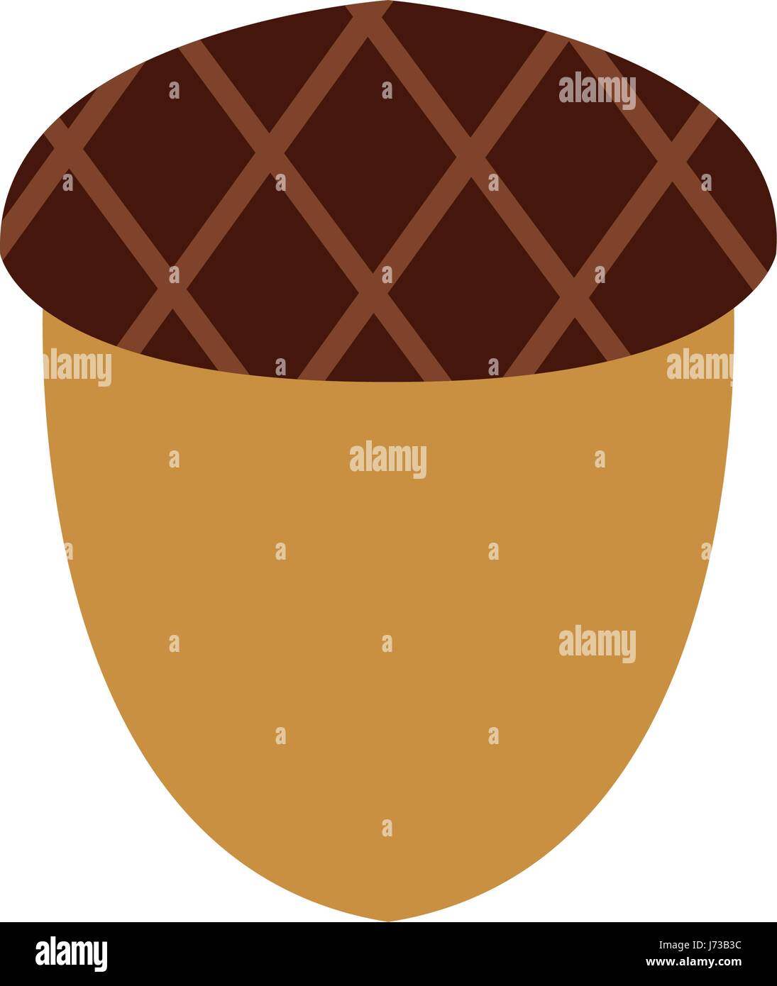 acorn nuts nature fruit natural image Stock Vector Image & Art Alamy