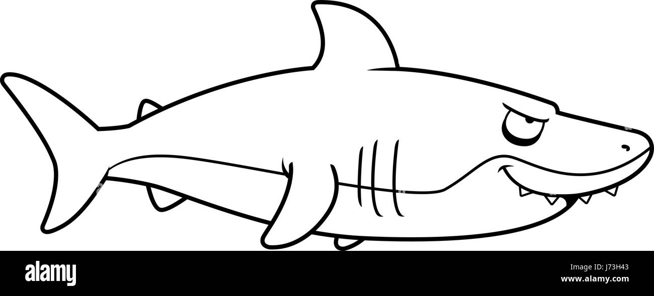 1.924 Smiling Shark Bilder und Fotos - Getty Images