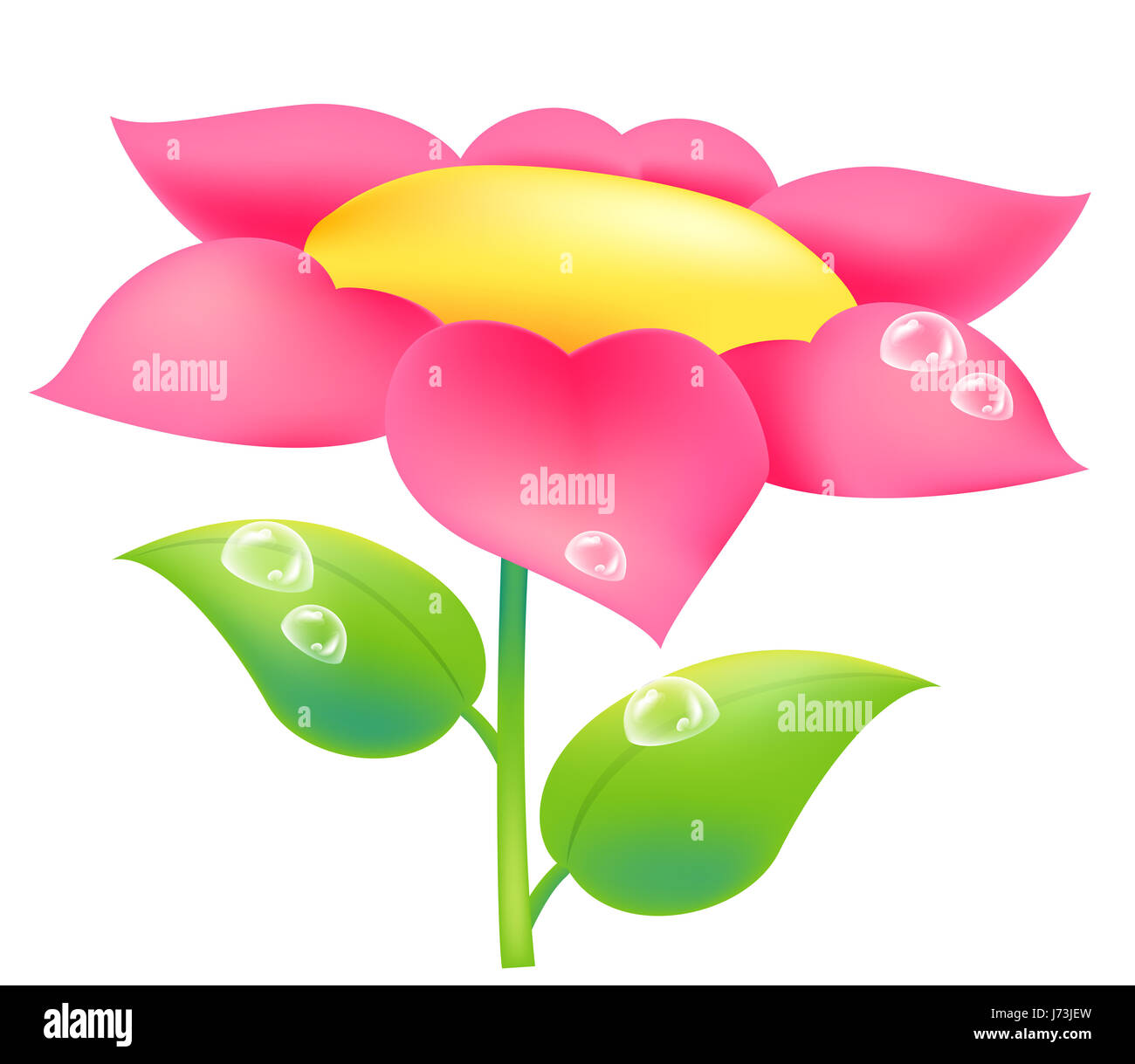 flower plant drop water drop waterdrop water drip drops seeping sopping