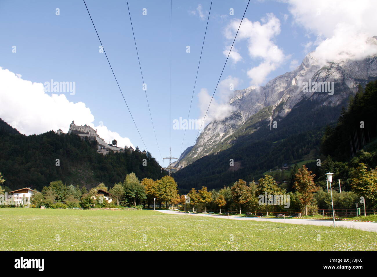 tree trees austrians pavement throw path way blue beautiful beauteously