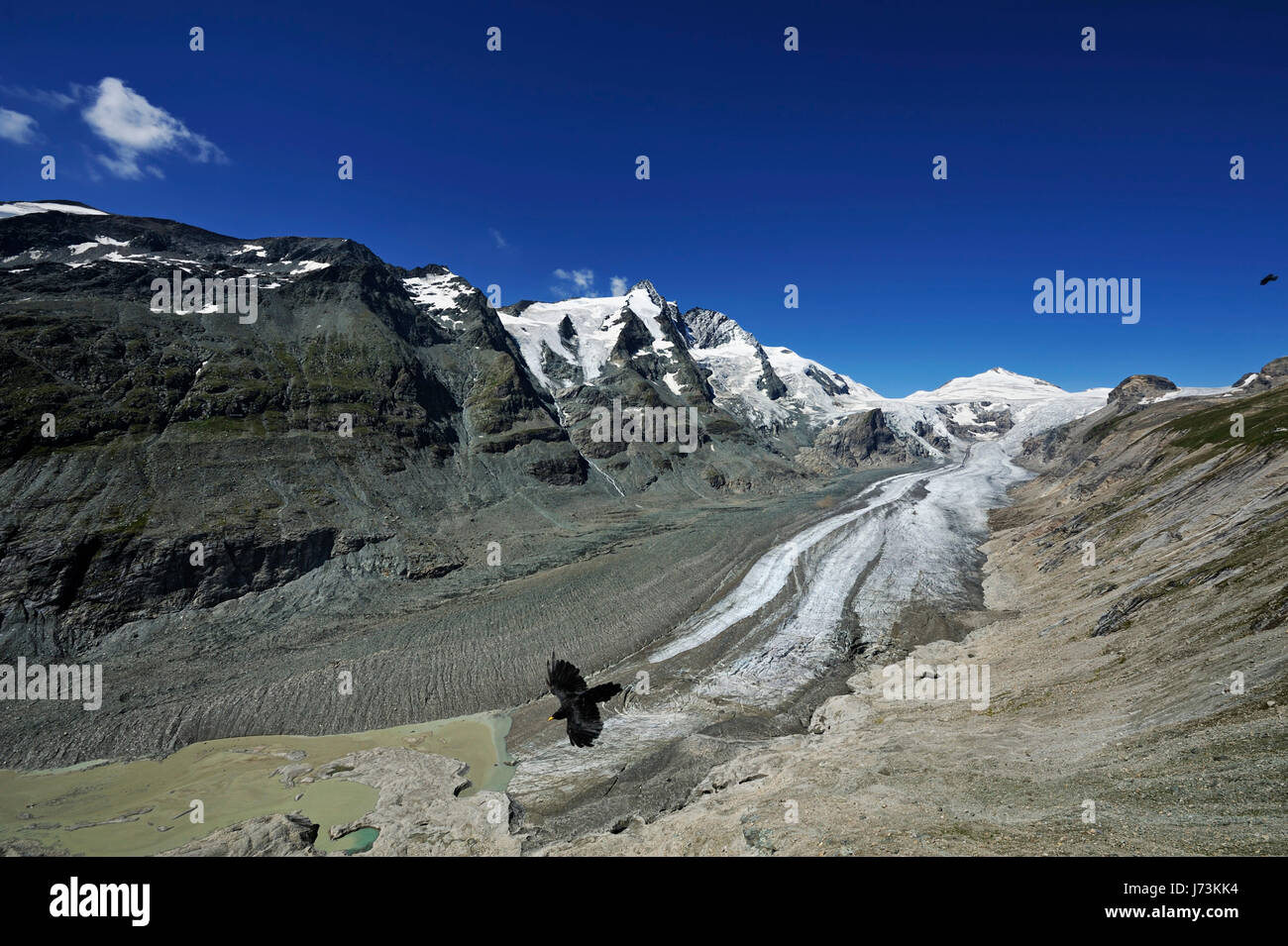 national park summit climax peak glacier ringer scenery countryside nature bird Stock Photo