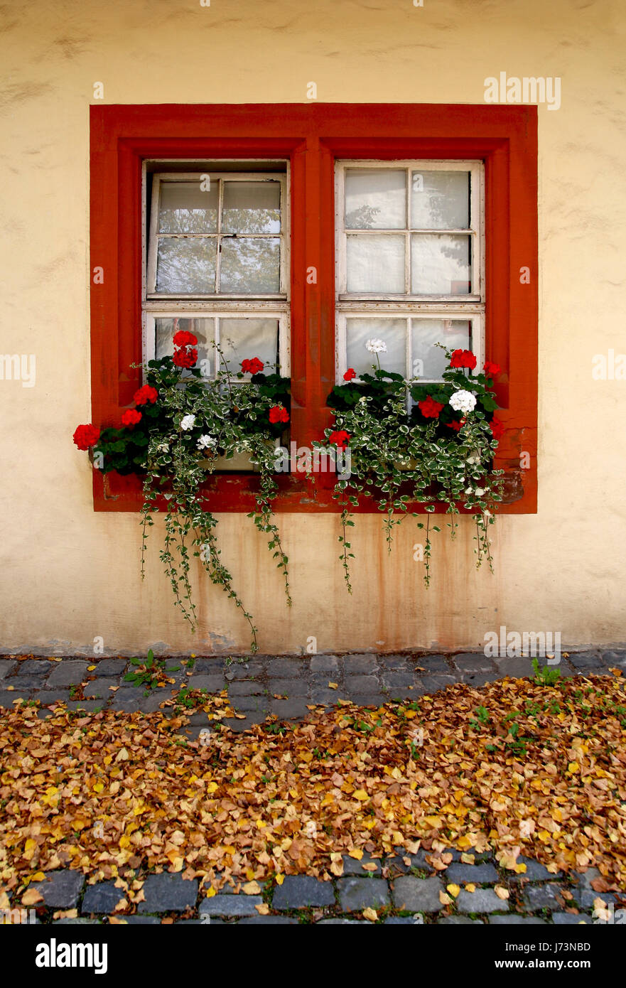autumn window Stock Photo