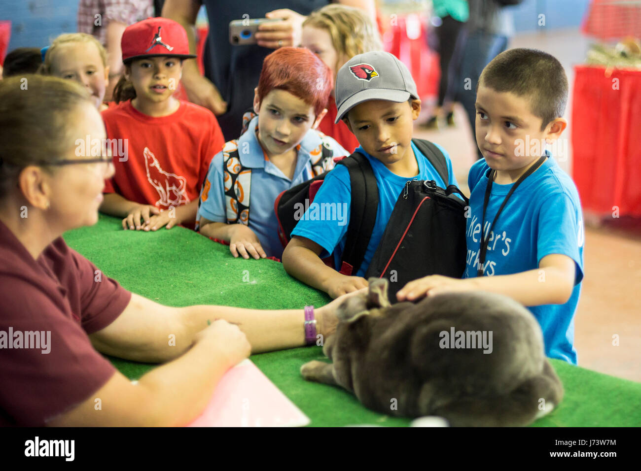 Phoenix, Arizona - Children pet Rex, a therapy rabbit, at the Maricopa County Fair. Stock Photo