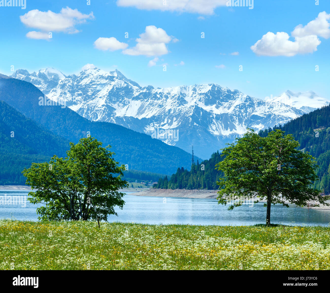 Reschensee ( or Lake Reschen) summer landscape with blossoming meadow ...