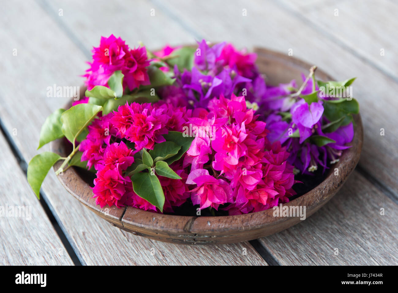 beautiful exotic flowers in wooden bowl Stock Photo