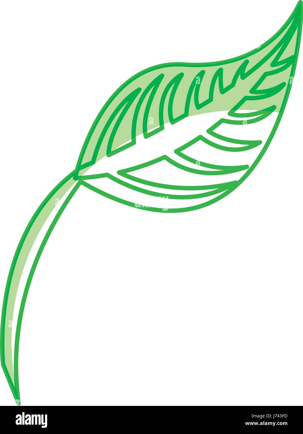leaf plant isolated icon Stock Vector Image & Art - Alamy