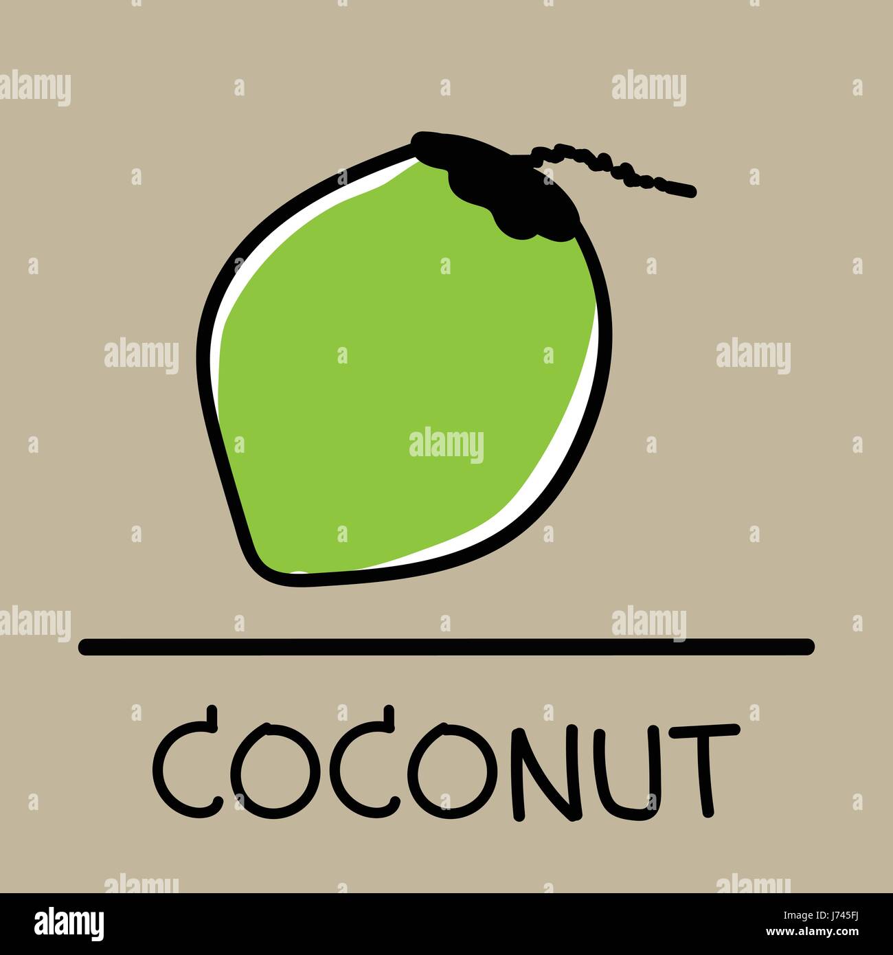 coconut handdrawn style, drawing, hand drawn, illustration Stock