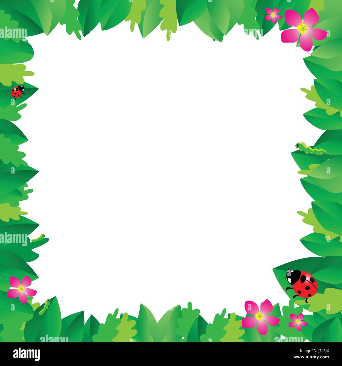 Ladybug on leaves with green leaves frame, vector illustration Stock ...
