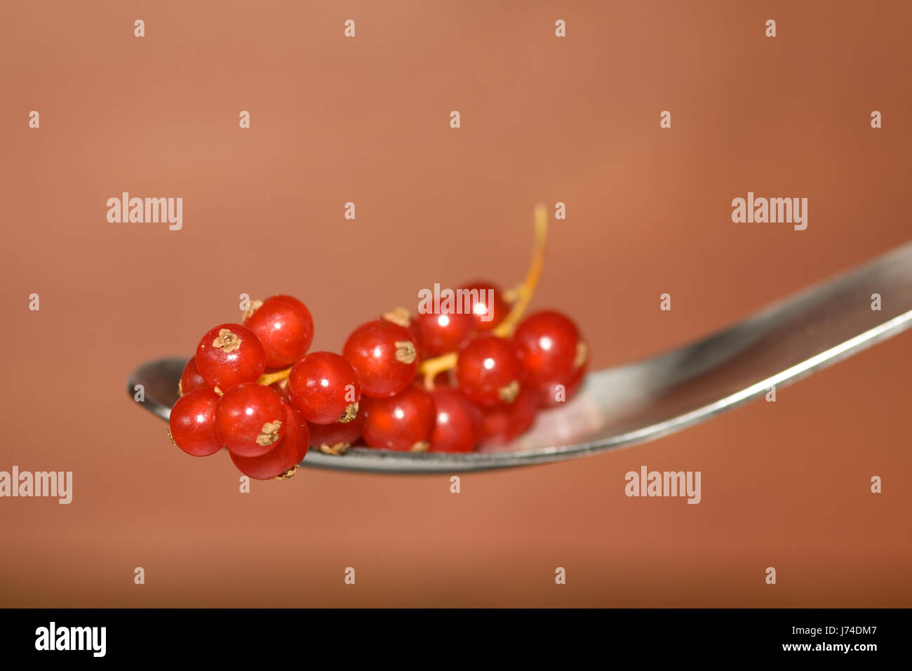 sweetly berry scatter strew currant red spoon motion postponement moving Stock Photo